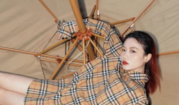 y麻豆,揭秘网络时代下的网红经济